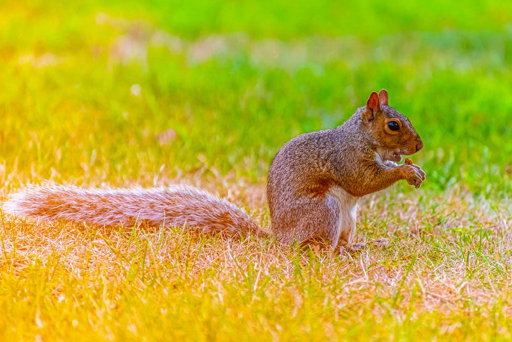 Lets Grab A Bite