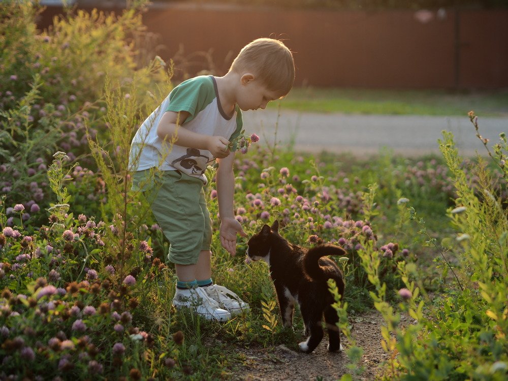 Photograph by Кристина Гареева