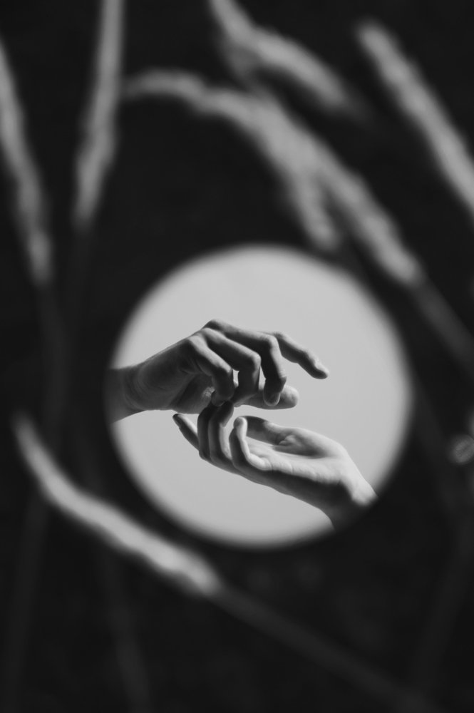 Photograph by Анатолий Жуков