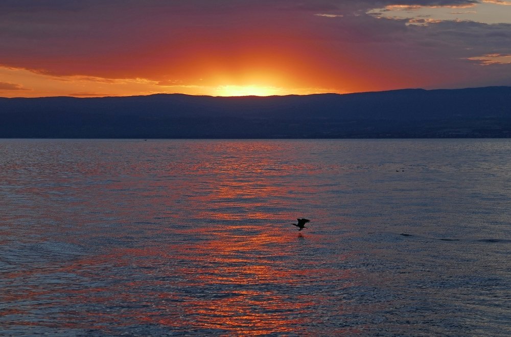 sunset over Leman lake