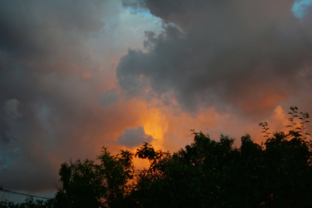 Photograph by Александр Кизим