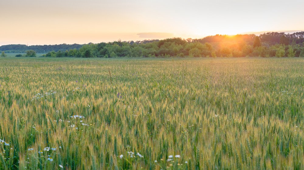 Photograph by Максим А.О.
