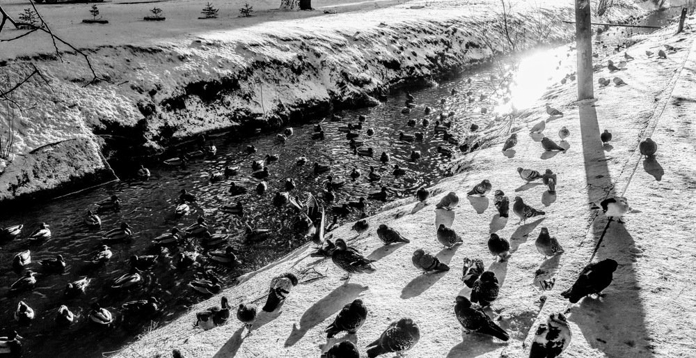 Photograph by Луценко Роман