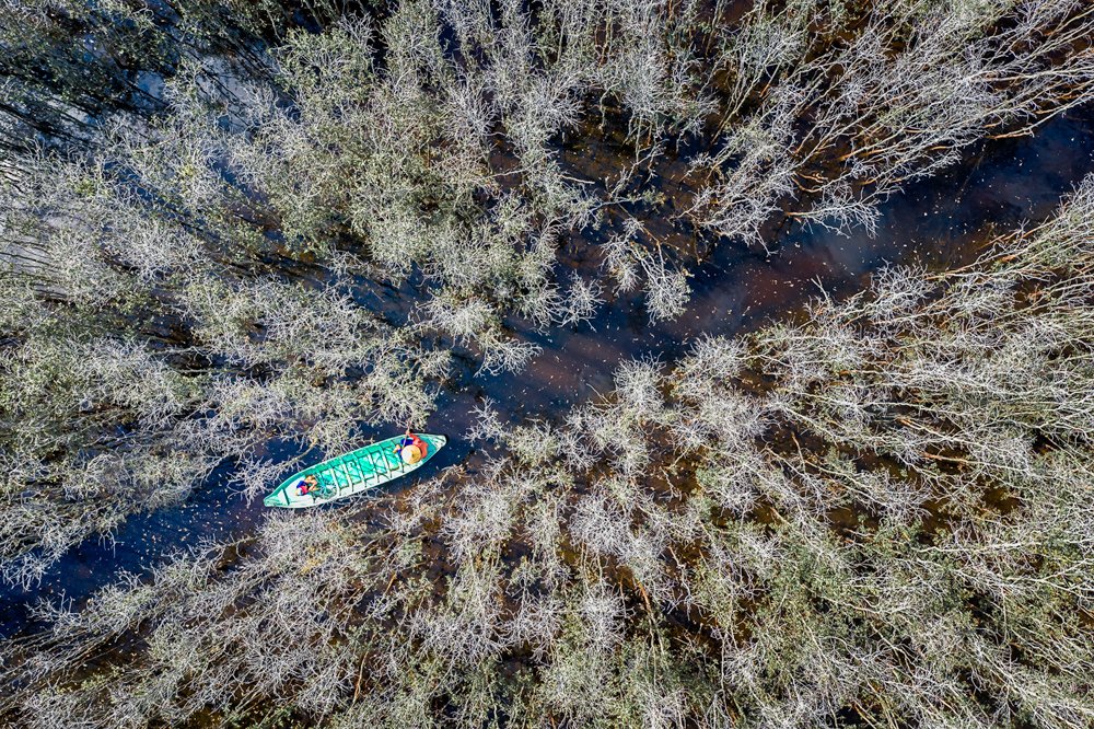 Photograph by Quang Tran