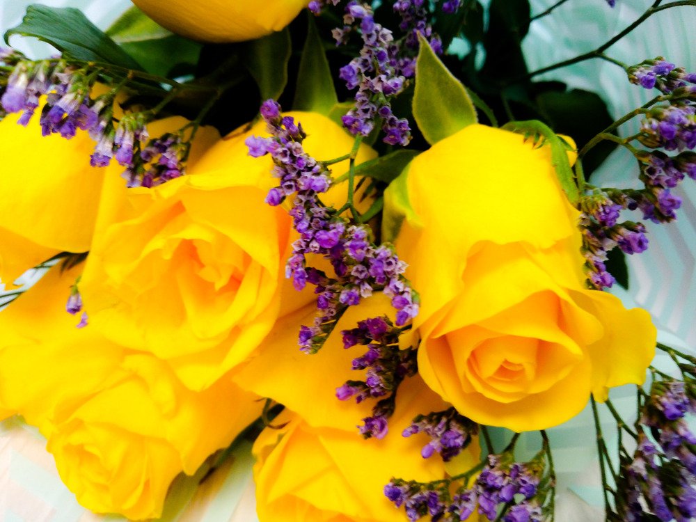 Photograph by Лариса Натальская