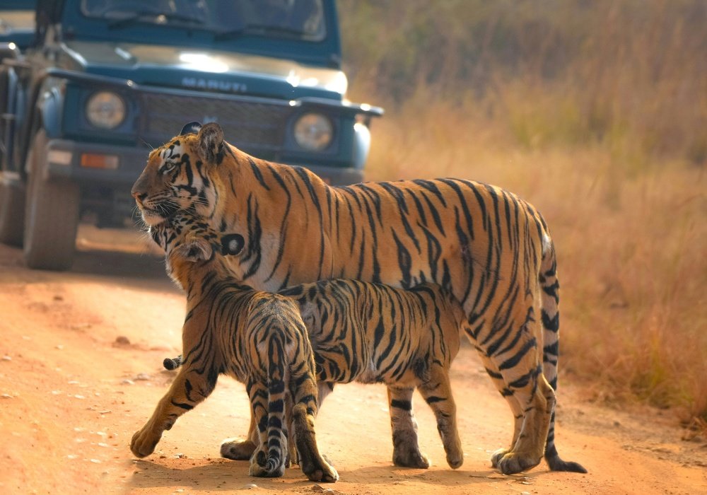 Photograph by Amit Sharma