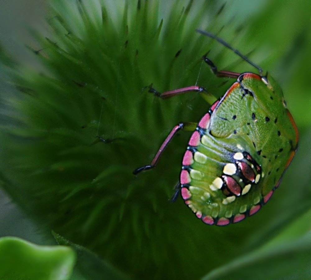 Photograph by Evica Ciric