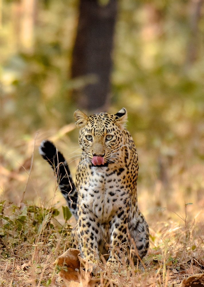 Photograph by Amit Sharma