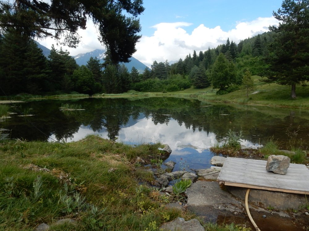 Photograph by Svetlana