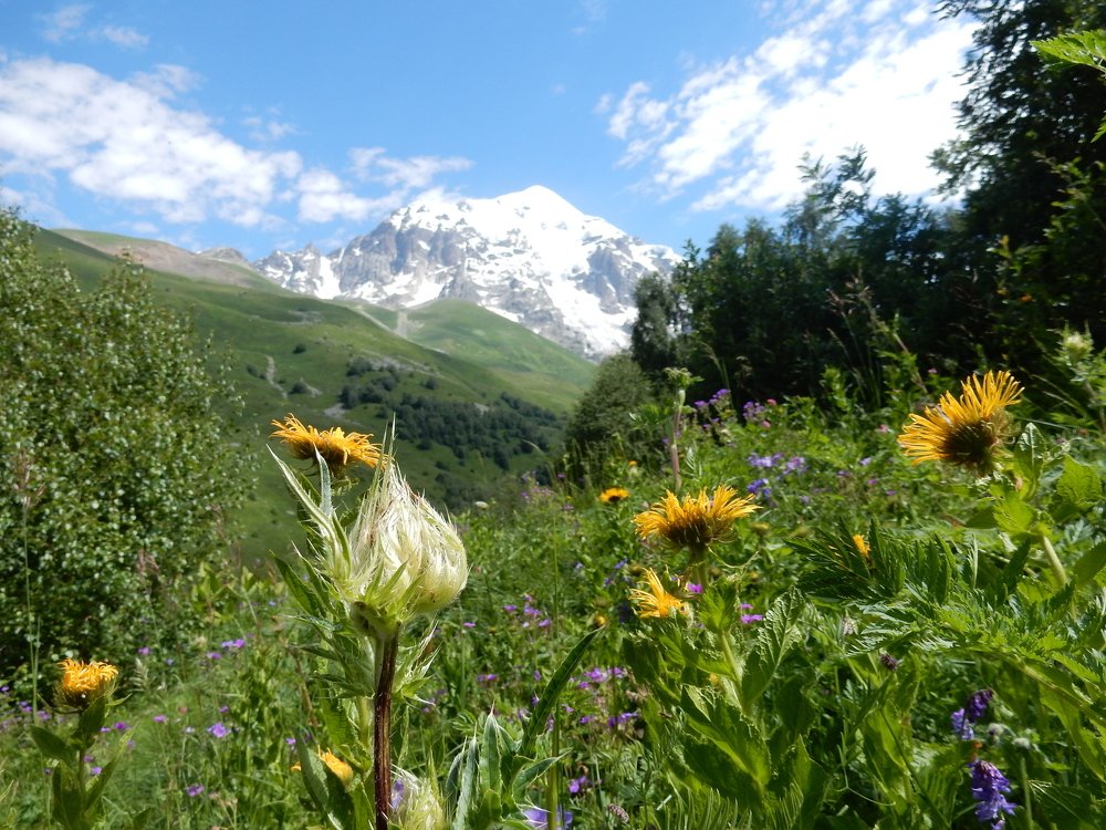 Photograph by Svetlana