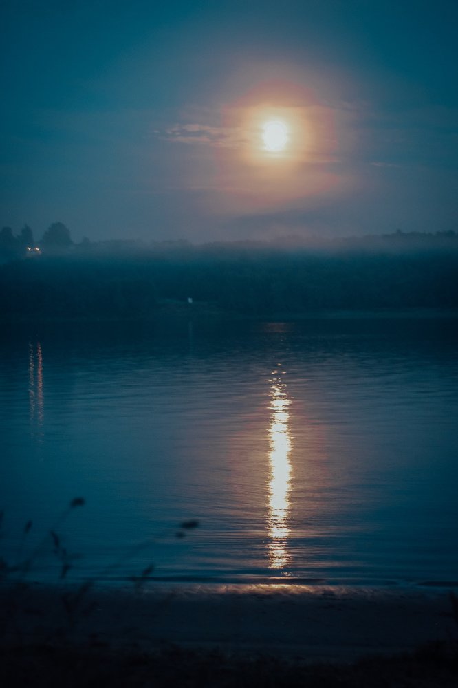 Photograph by Smirnova Anna