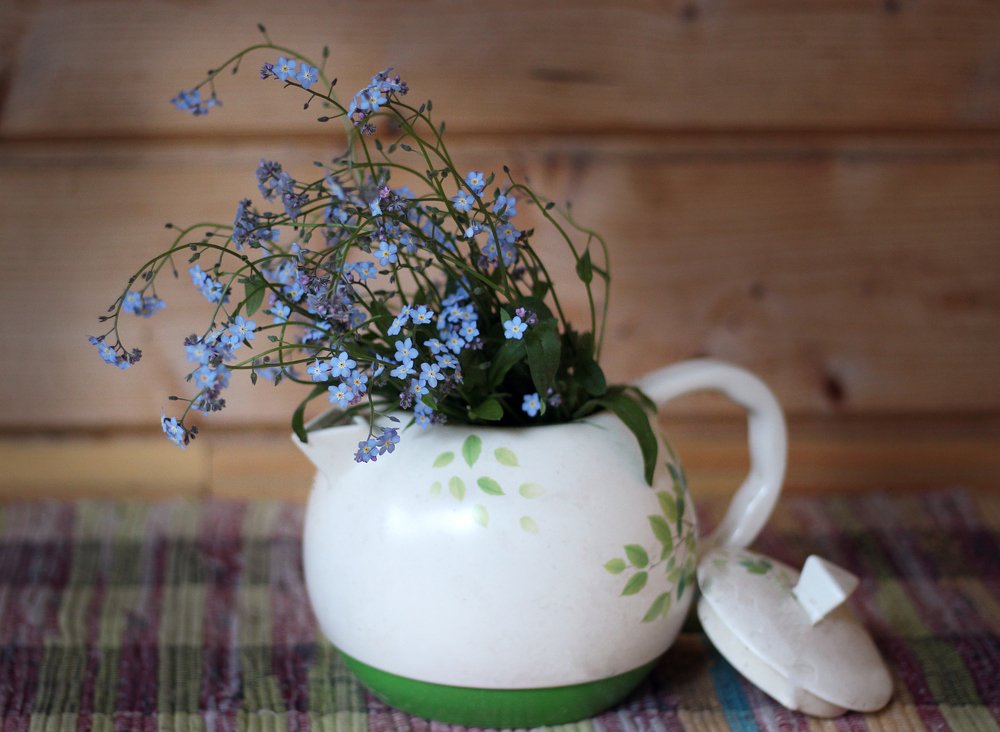 Photograph by Smirnova Anna