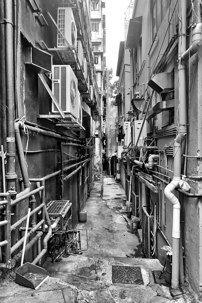 Photograph by Blanka i Piotr Czekalscy