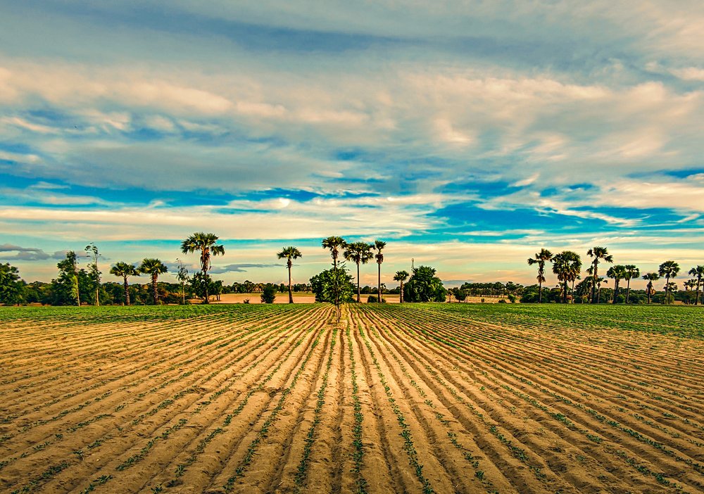 Photograph by Zin Maung Thant