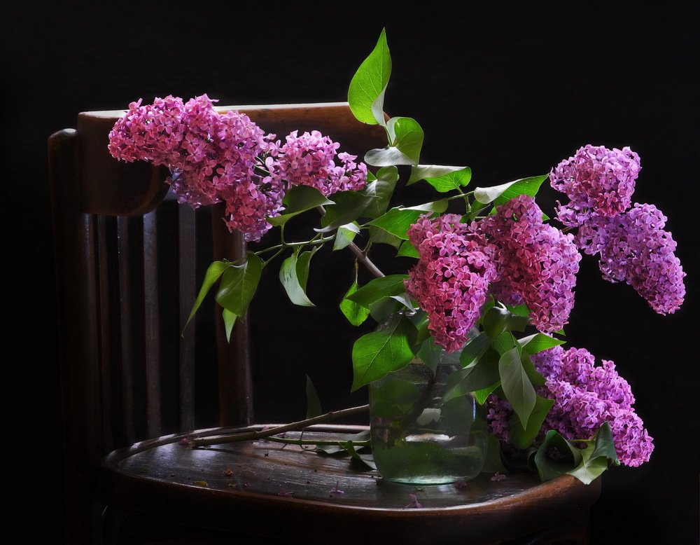 Аромат на венском стуле.