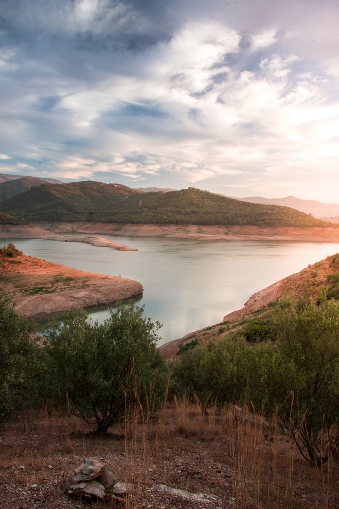 Photograph by Aissa Haffar