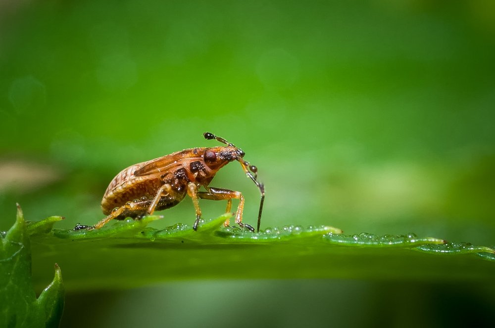 Photograph by Ясинский Юрий