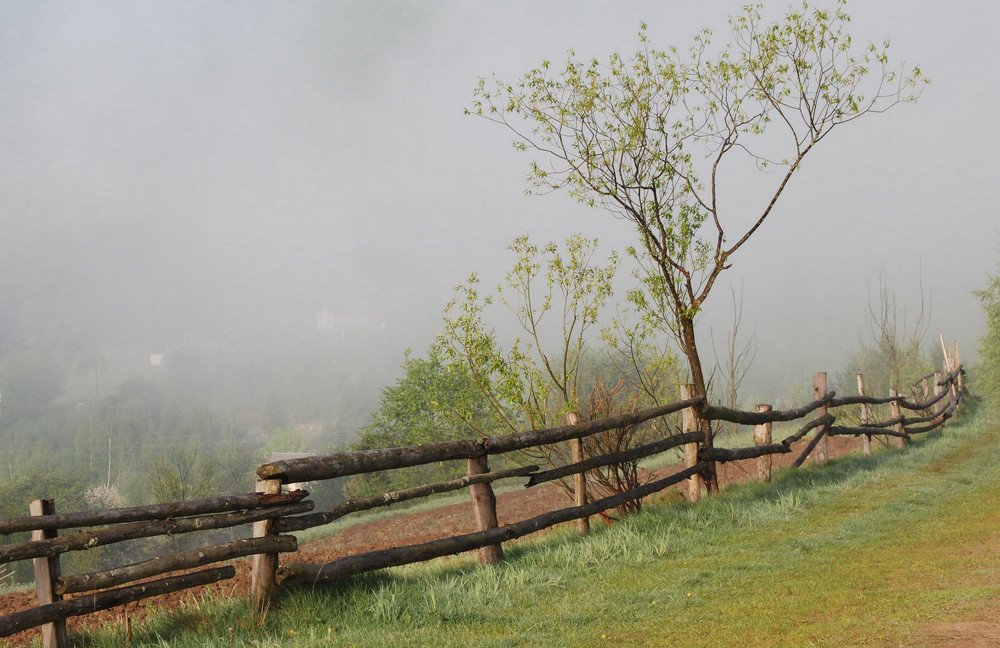 Photograph by Владимир Гузик