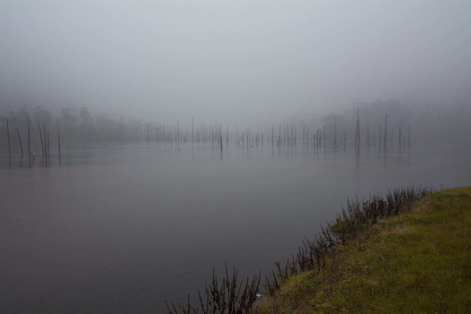 Photo #4803464