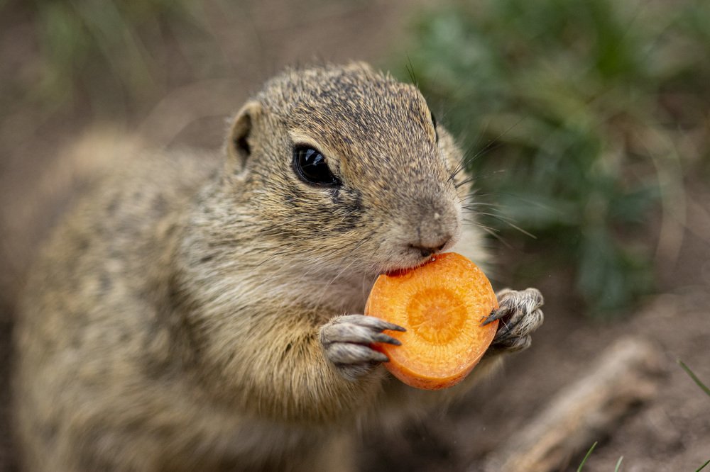 Photograph by Lucia Urblikova