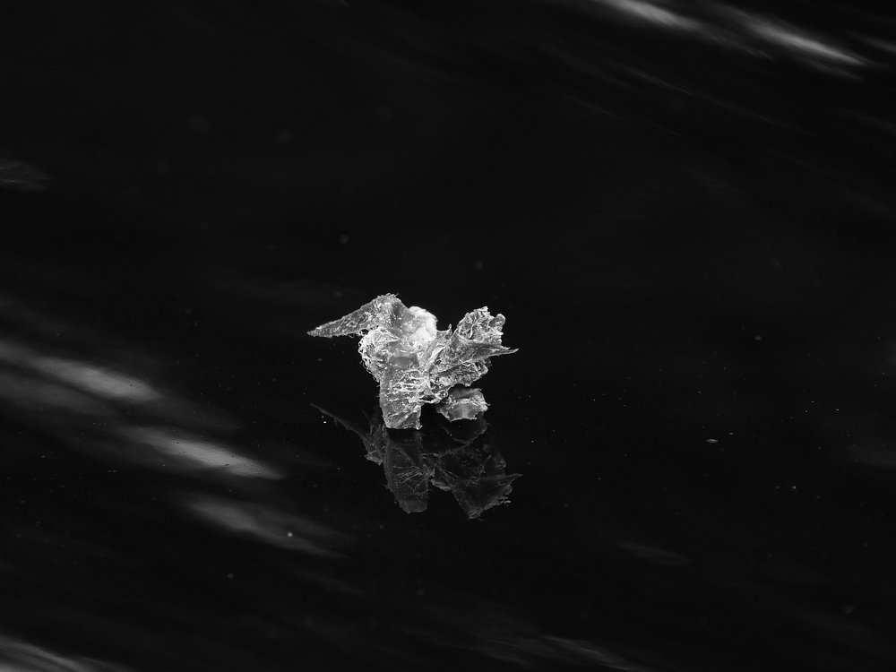 Photograph by Сергей Горбунов