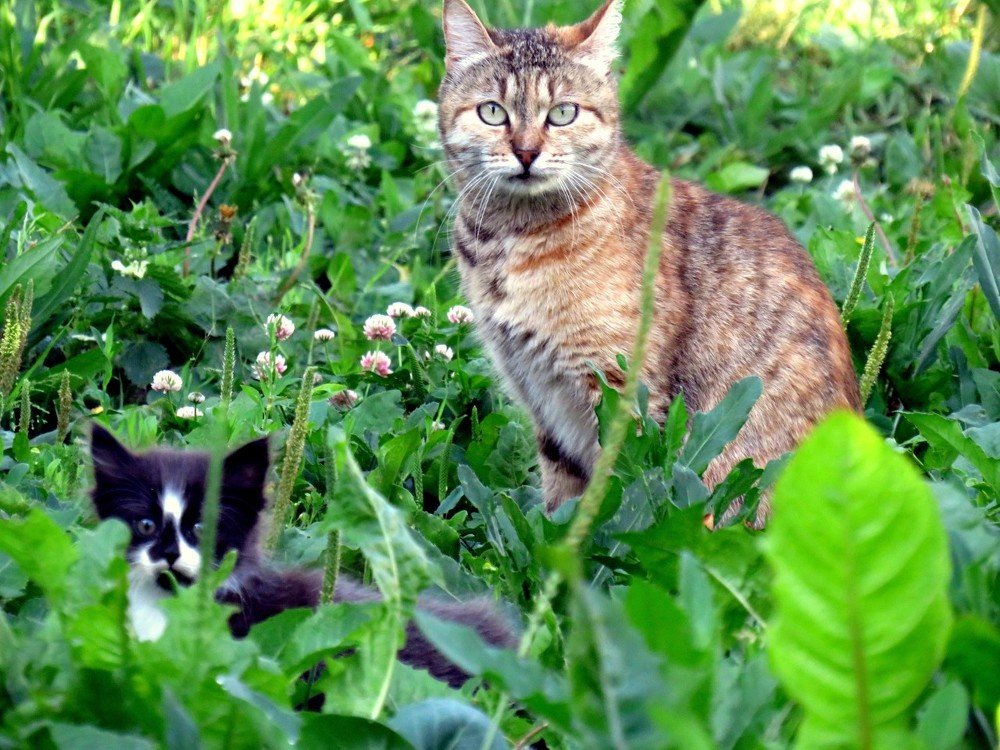 Photograph by Дмитрий Сорокин