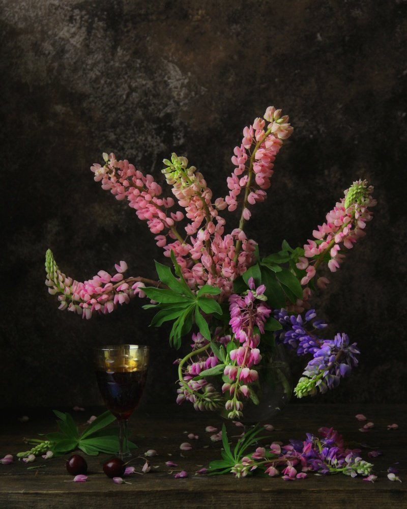 Фотография автора Елена Доянова