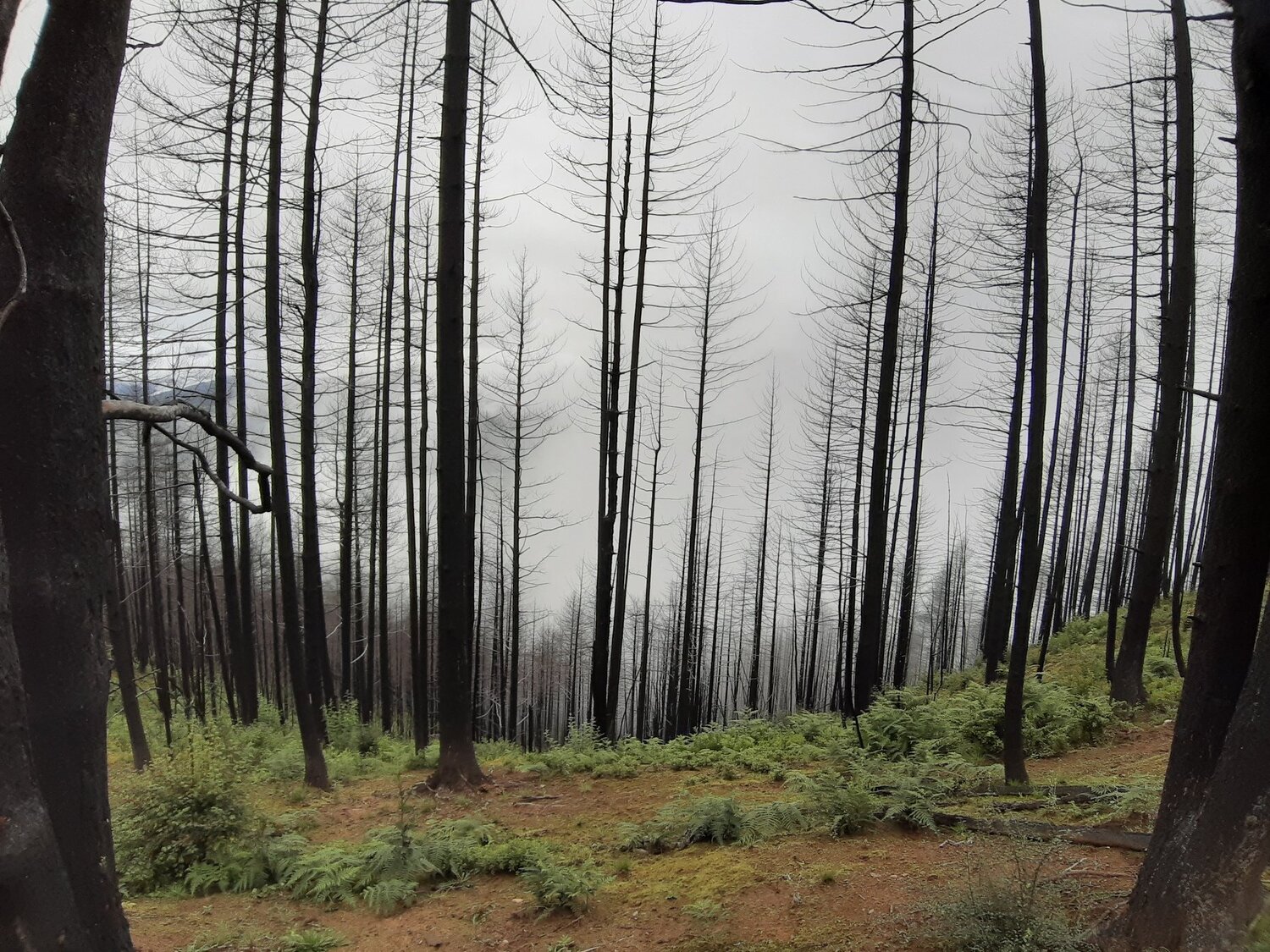 Photo #4803663