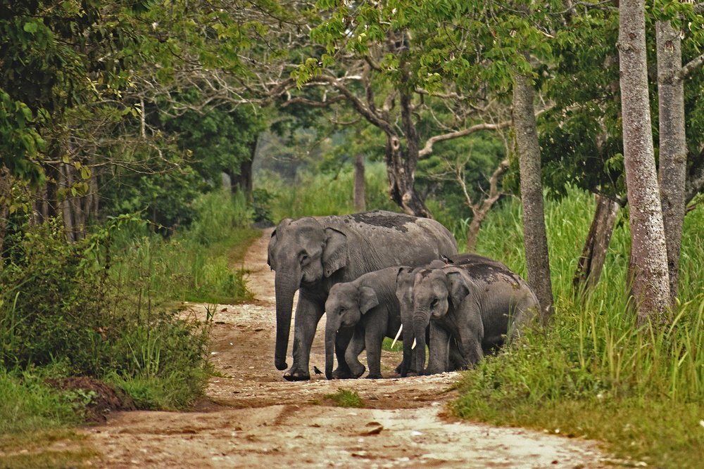 Фотография автора Prateek Agarwal