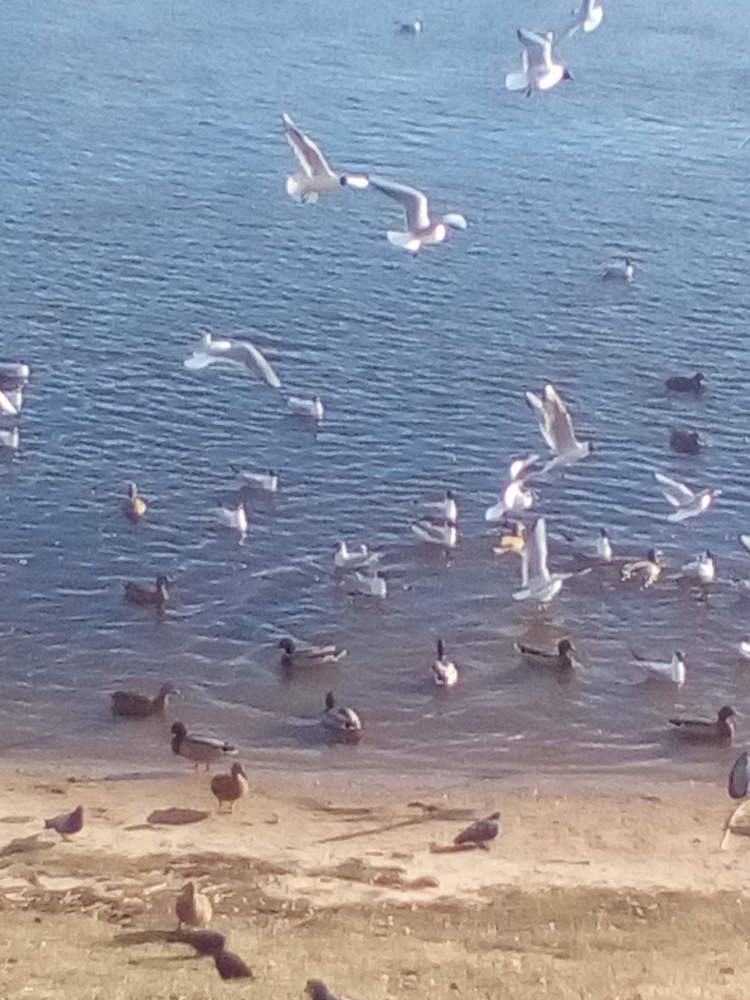 Photograph by Natalia Lebedeva