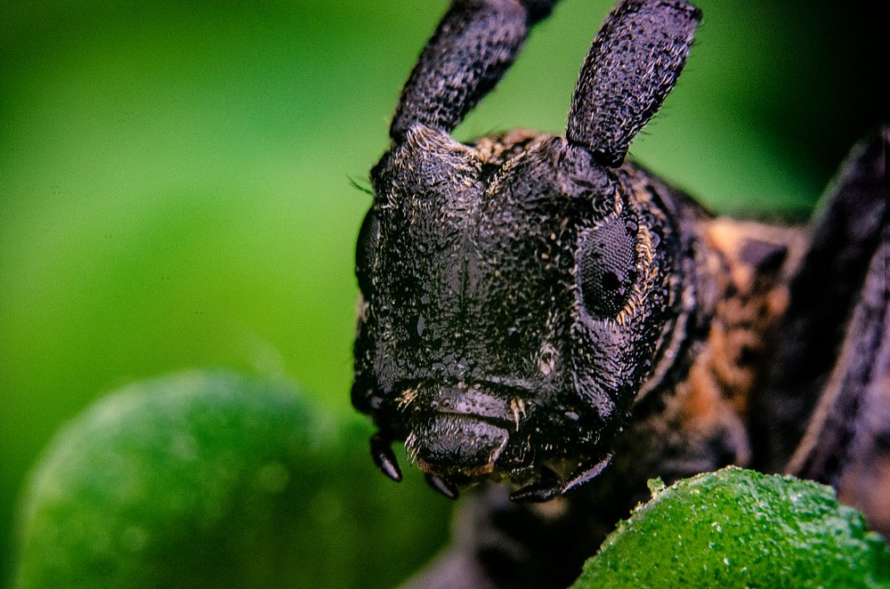 Photograph by Олександр Дормидонтов