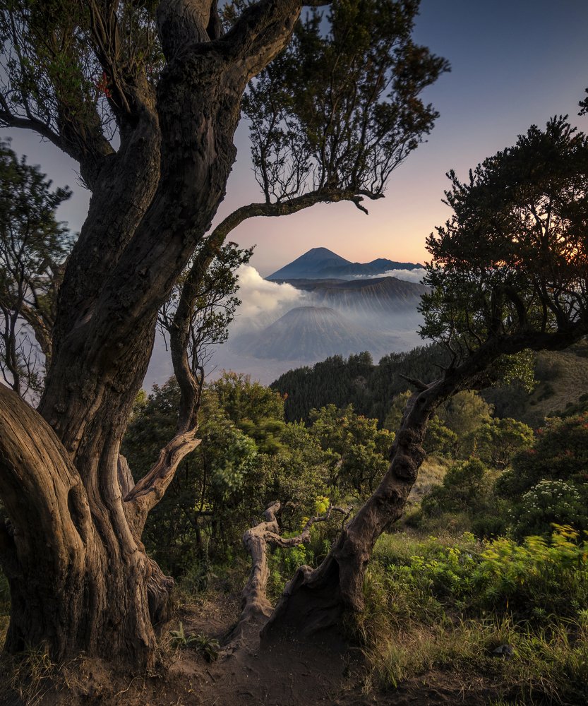Photograph by Cahyo Priyo Purnomo