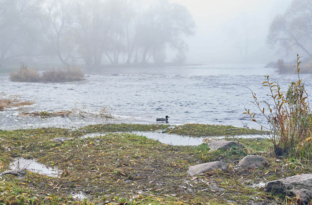 Photograph by Светлана Михайлова