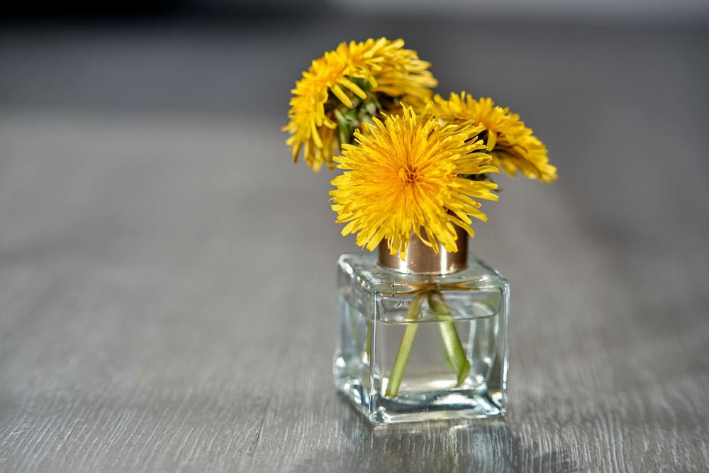 Photograph by Светлана Михайлова