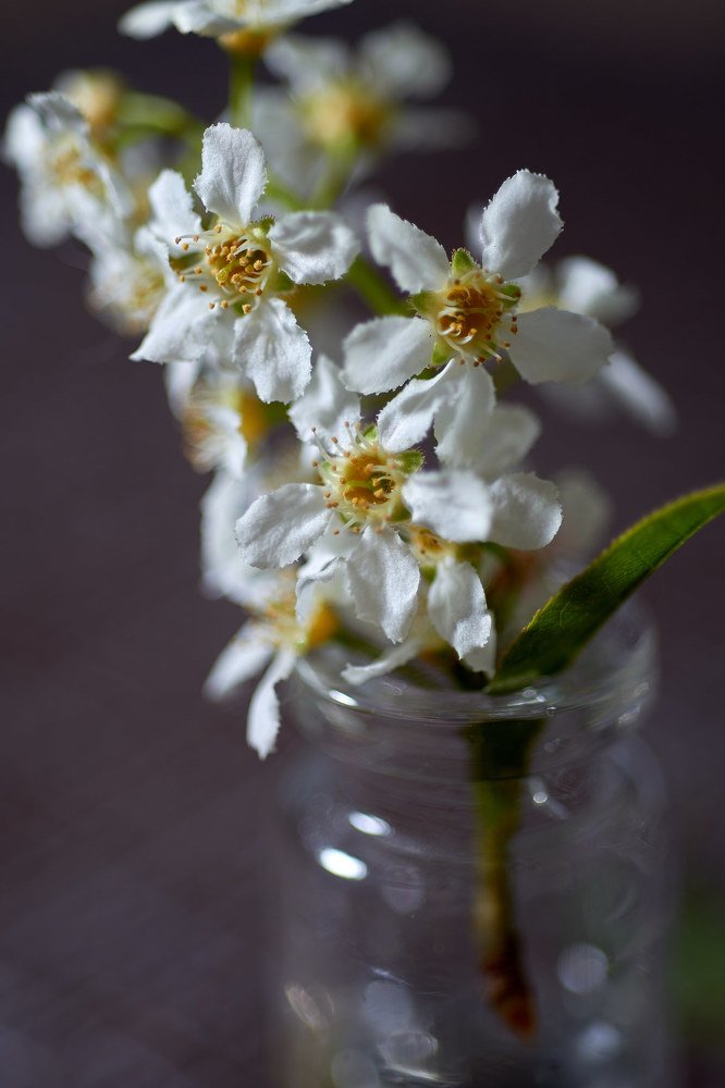 Photograph by Светлана Михайлова