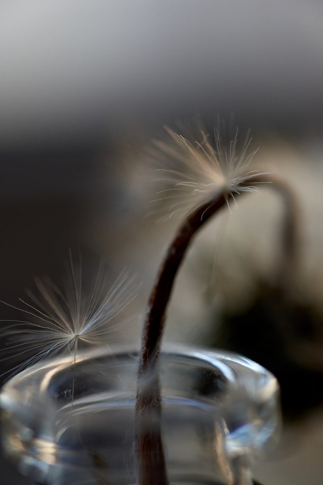 Photograph by Светлана Михайлова