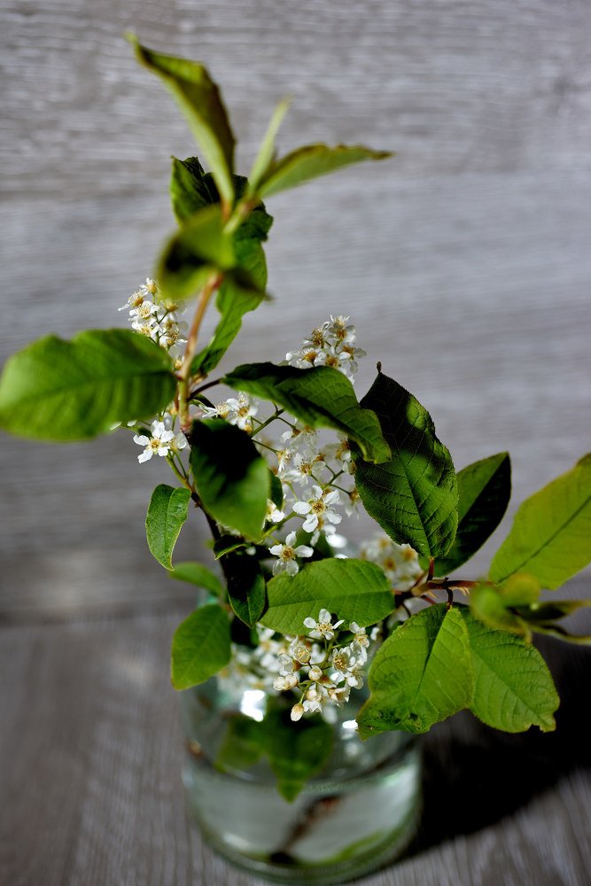 Photograph by Светлана Михайлова