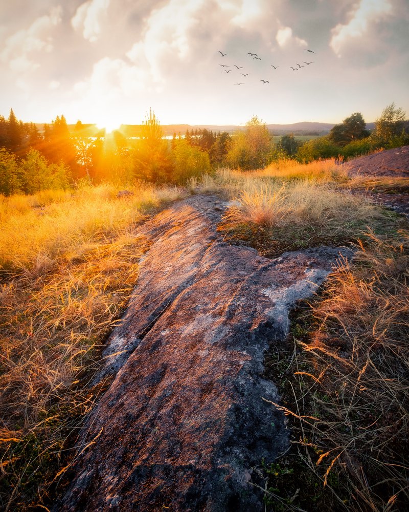 Photograph by Артем Зубарев