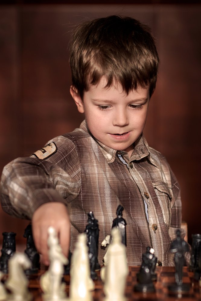 Юный шахматист