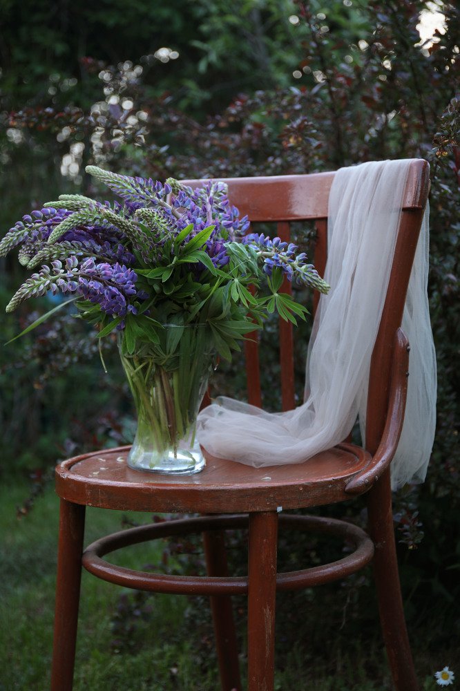 Photograph by Наталия Дударева