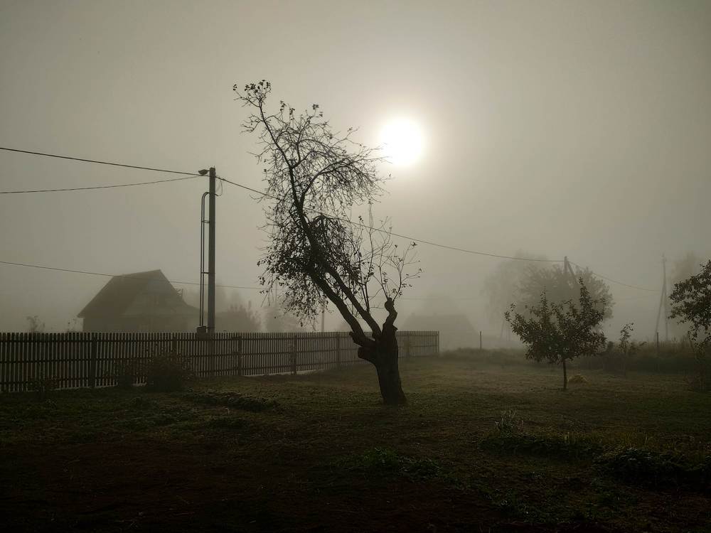 Photograph by Павел Тимохов