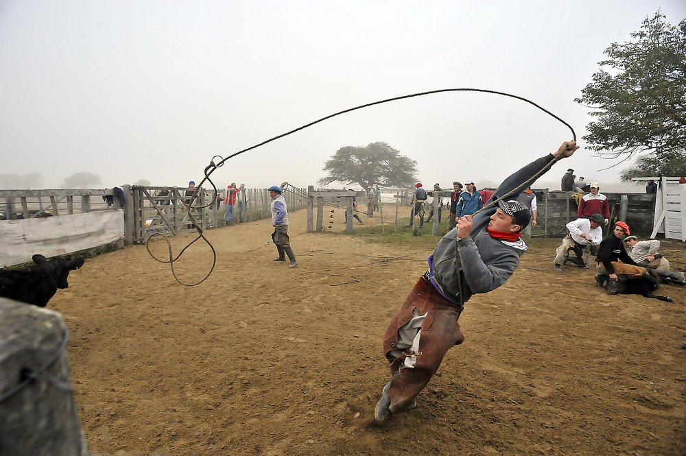 Фотография автора gustavo abbate