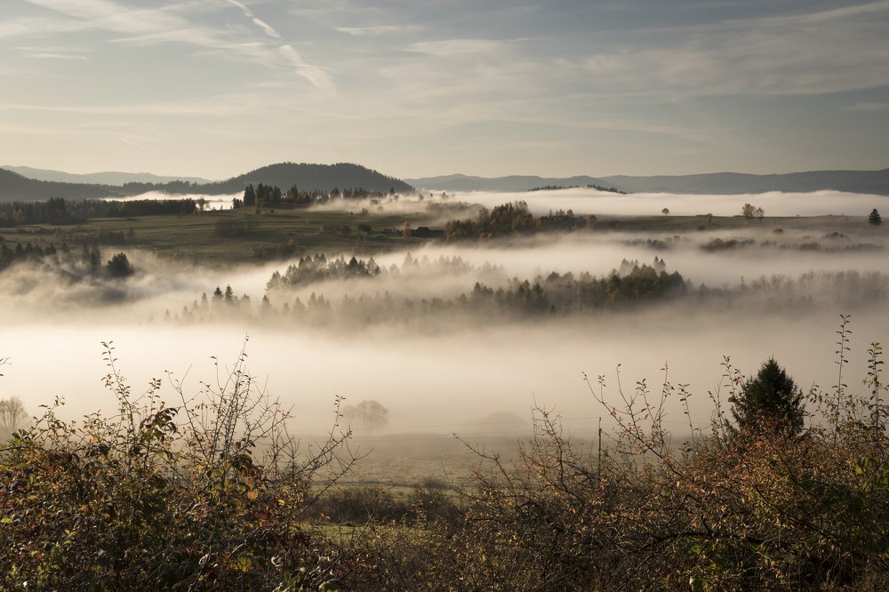 Photograph by Waldemar Gocałek