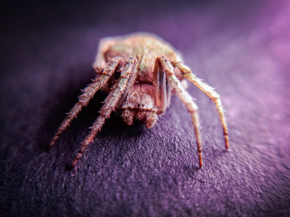 Photograph by Souvik Bhattacharyya