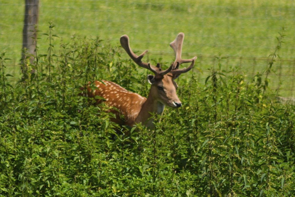 Photograph by Jozef Potocký