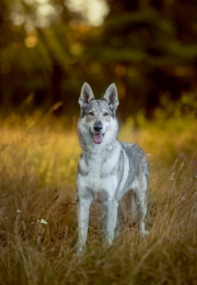 Фотография автора Marta Goch