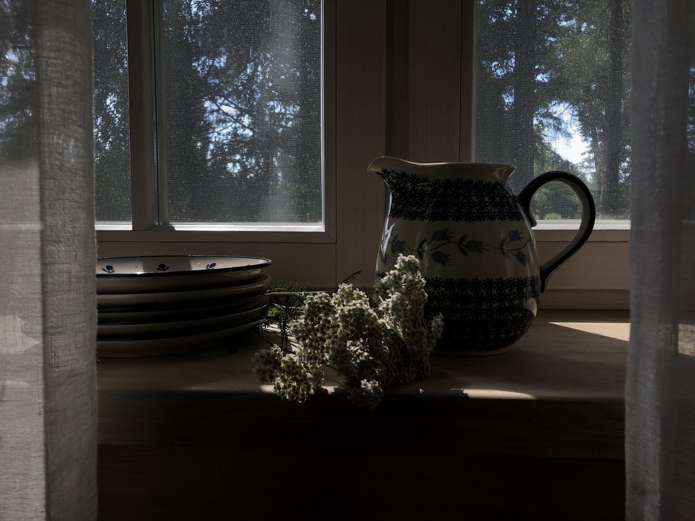 Фотография автора Наталья Васько -Черданцева