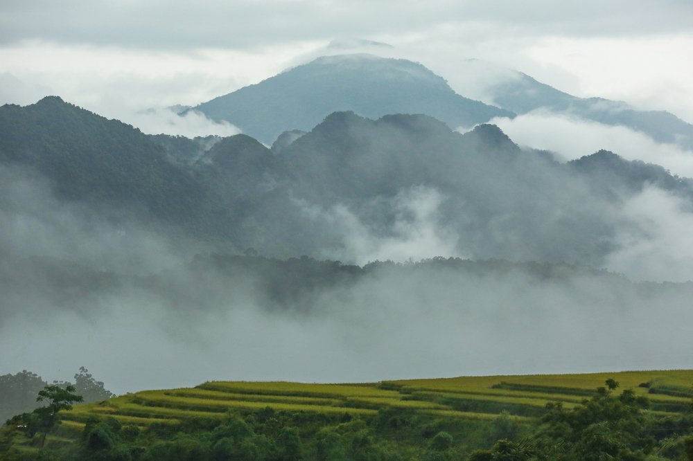 Photograph by thang nguyenvan