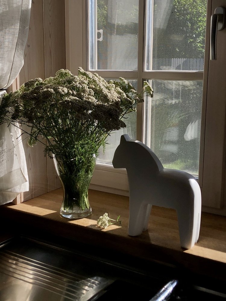 Фотография автора Наталья Васько -Черданцева