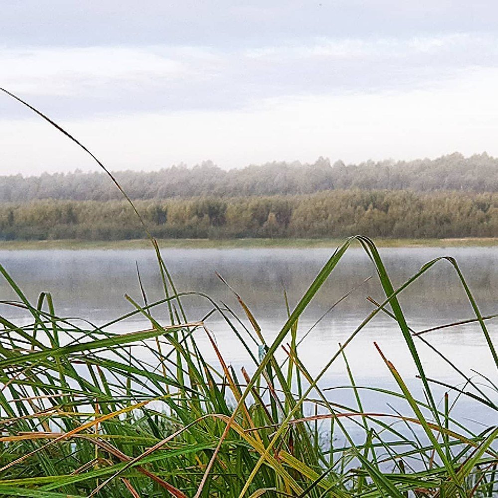 Photograph by Сергей Грицков